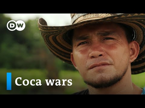 Koka-Bauern in Kolumbien: Warum Cocaleros keine Wahl haben