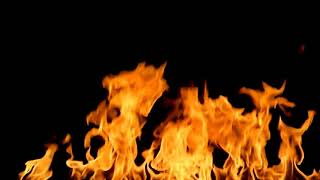 IDLES-slow savage cover by Zadko (spañol)