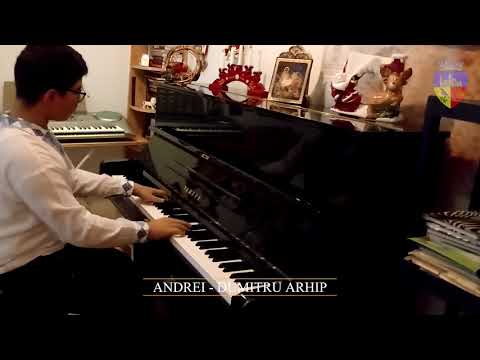 45 Arhip Andrei Dumitru