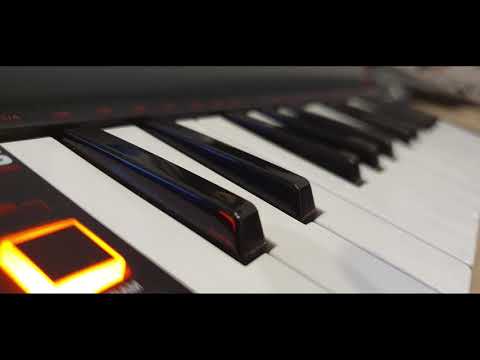 If I Ain't Got You - Wiktoria Alena Marko (Cover)