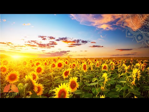 MORNING PEACE MUSIC 😍 Free Positive Energy - 528Hz Meditation Music To Heal Your DNA