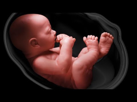 Kjo ndodh me fëmijën në muajin e katërt në barkun e nënës!