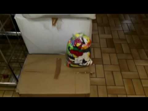 JTL WMS (mobiler) Packtisch im Einsatz - eifel-luftballons.de