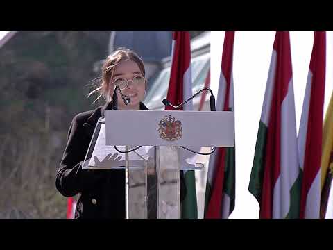 Videó előnézet