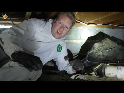 Wet Crawl Space? - Jamestown, SC 29453