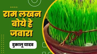 Download lagu Ram Lakhan Boye He Jawara || राम लखन बोये हे जवारा || Dukalu Yadav CG Jasgeet || दुकालू यादव जसगीत mp3 Download lagu Ram Lakhan Boye He Jawara || राम लखन बोये हे जवारा || Dukalu Yadav CG Jasgeet || दुकालू यादव जसगीत mp3