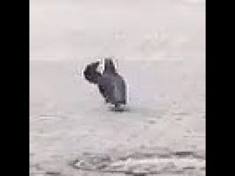 Video recording FBI. Arrest 08.07.2018