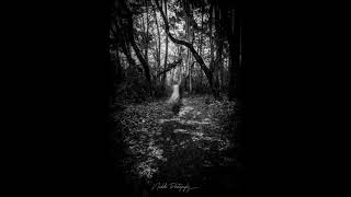 The Chameleons - Soul in Isolation