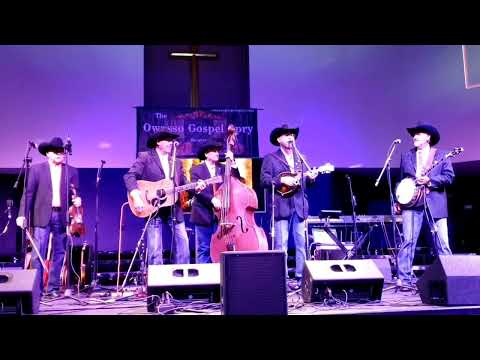 SpringStreet-- 'Wings Of A Dove'