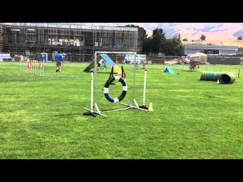 Tracy and Quimblee - Advanced Standard (16") - 2015-05-30