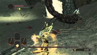 DARK SOULS™ II: Bloodborne Style - Ohne Schild