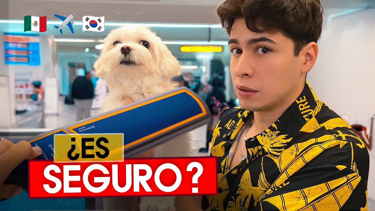 CUIDADO al traer a tu mascota a Corea en 2026 🐕✈️🇰🇷