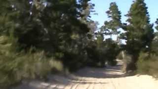 Riding in the Dunes
