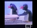 Pingu English Dub Shorts