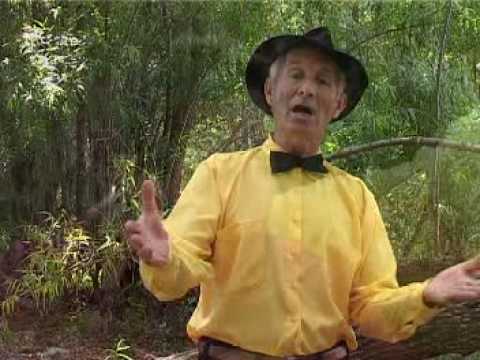 Las Guitarras sampedrinas - Guitarrera de San Nicolás