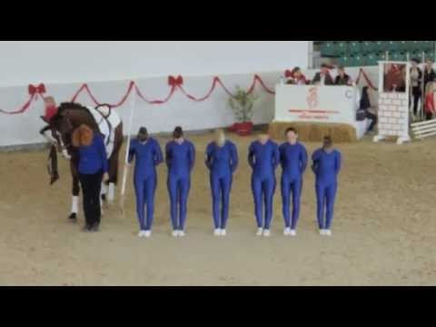 Voltigieren Wildenburg - Juniorteam - Pflcht - LM Zweibrücken 2014