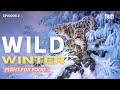 The REAL Struggle Of Animals In WILD WINTER Animal Planet Hindi