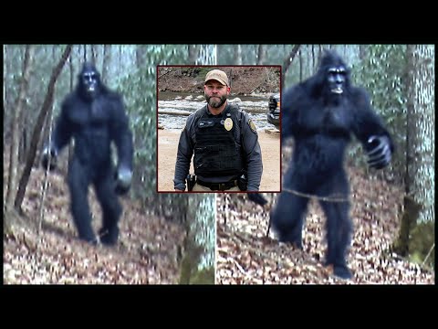 Mysterious Disappearance of Police Officer in Smoky Mountains — Only His Torn Uniform Found