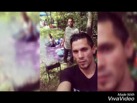 Ace elif jusuf ajredin