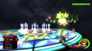 キングダムハーツ2　庭園攻略中