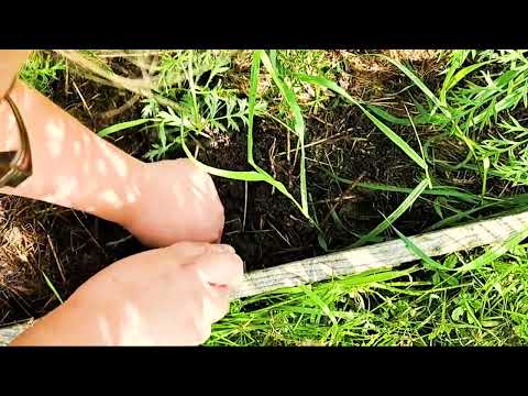 Trådrensaren L2 ett redskap för att rensa ogräs.