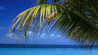 C Systems - Heat (Hodel & Terrys Summer Sun Remix) HD