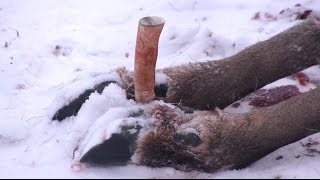 Японские ножи для рыбалки и охоты