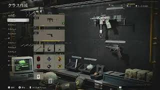 COD CW　武器育てます。