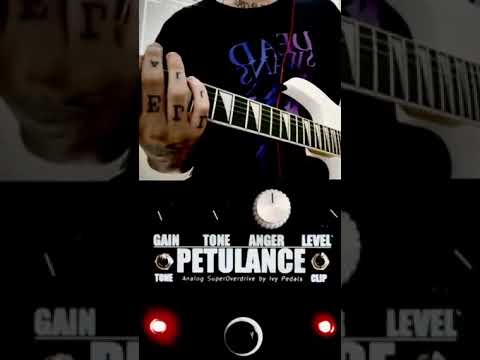 Petulance - Ivy pedals - BLACKOUT Special Edition 2025 image 8