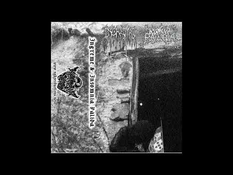 Insomnia Pálida - A Descida