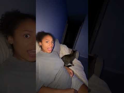 The Cat Saw Something We Couldn't… 😱 #shorts