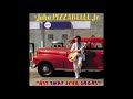 John Pizzarelli -  Better Run Before It's Spring