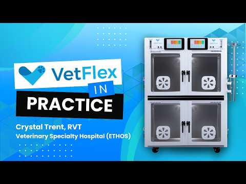VetFlex ICU Customer Story