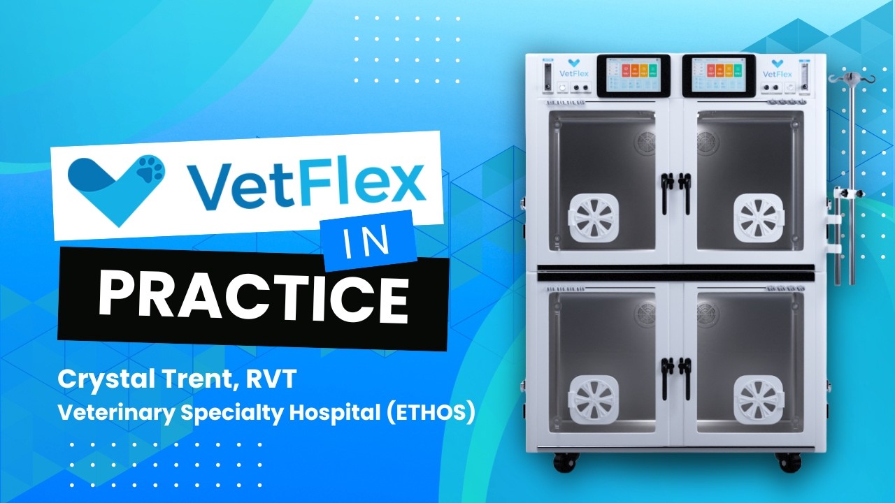 VetFlex ICU Customer Story