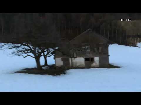 Zug Mitfahrt Interlaken Ost - Grindelwald , Zweilütschinen - Lütschental , Train ride,Viagem de trem