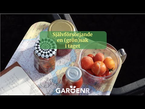 Självförsörjande en (grön)sak i taget - Trädgårdshacks med GardenR