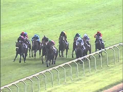 Premio Bersaglio 2013 (LISTED RACE)