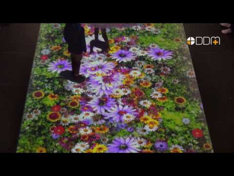 Digital Design And Media Ltd video.