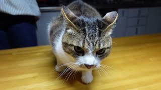 日常VLOG #1