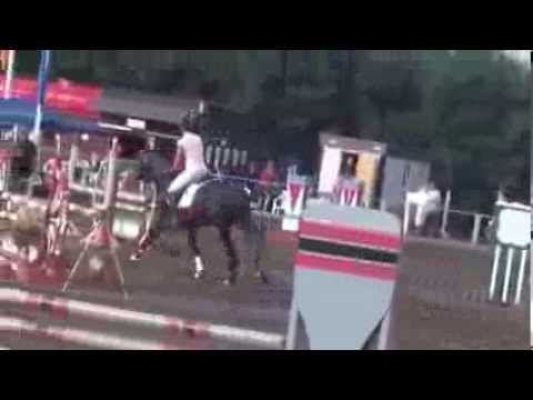 Garanhão, 4 anos, Colmander x Cassini I x Heraldik XX, Stamm 18b1