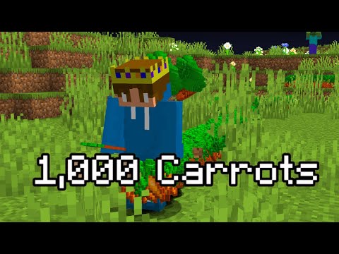 Minecraft Insanity: 1,000 Carrots in 1 Hour
