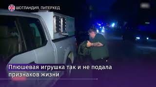 Британский фермер вызвал наряд полиции из-за игрушечного тигра