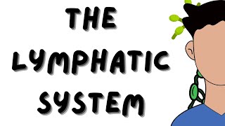 The Lymphatic System