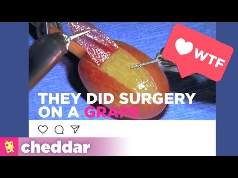 WE ACCIDENTALLY CREATED A VIRAL MEME