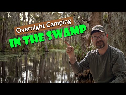 Surviving the Swamp: An Overnight Camping Experience