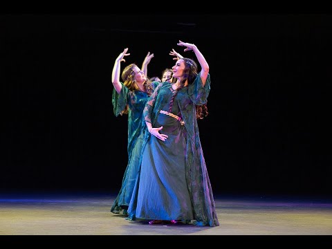 Golzar “Field of Flowers” - Persian/Iranian Dance by Nafas Dance Ensemble