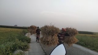 এক মুটো ভাত জোগাড় করতে মাথার ঘাম পায়ে ফেলাতে হয় কৃষকের!!!