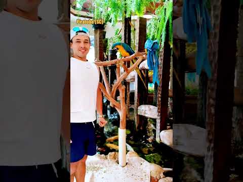Piratuba SC/ é conhecido como a cidade das águas termais. #piratubasc #santacatarinabrasil