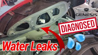 Hyundai Genesis 2009+ Taillight Diagnose & Great Idea Repair Water Coming in the Trunk #diy #repair