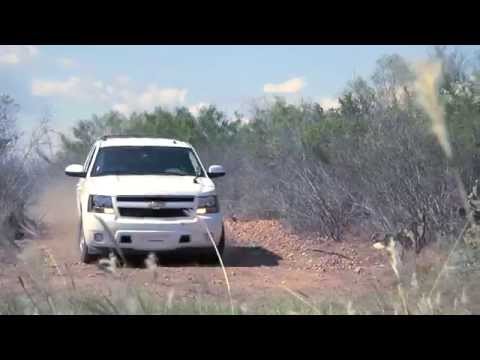Ver video